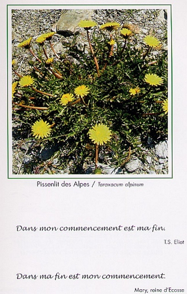 Expo2007