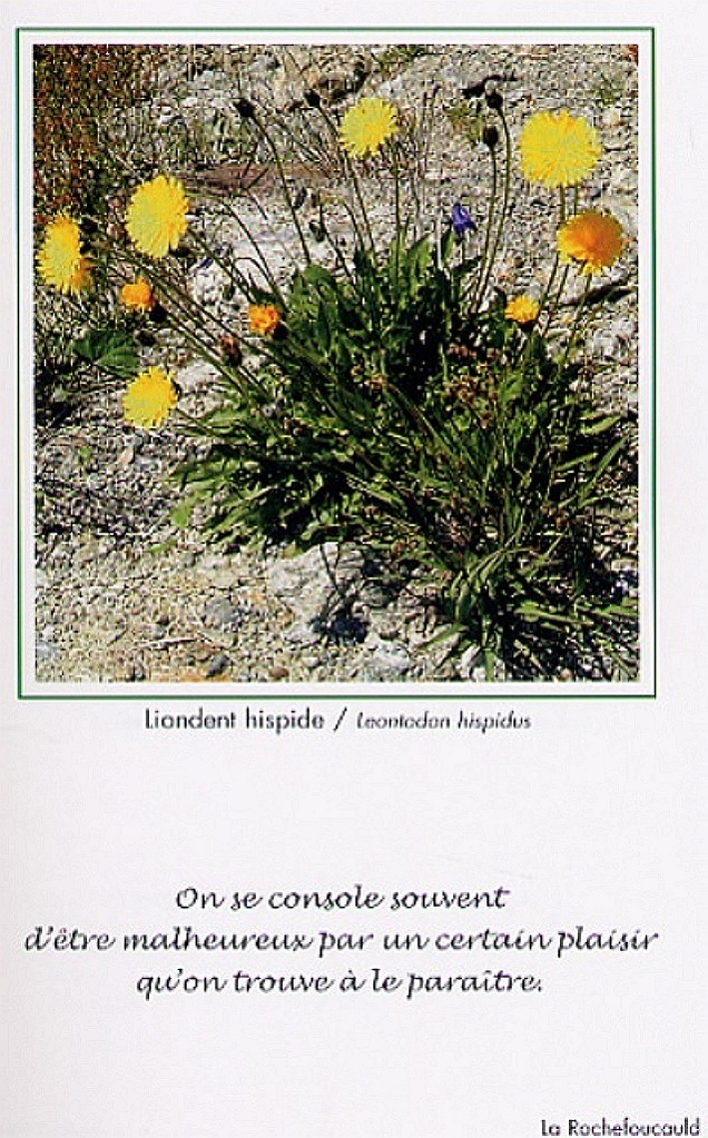 Expo2007