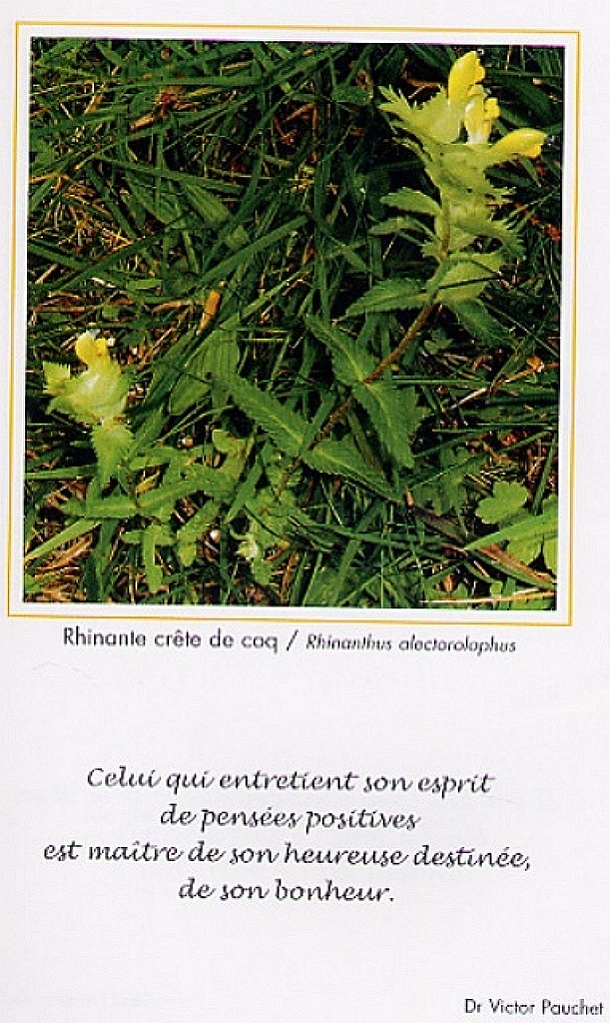Expo2007