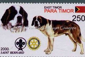timor_10-081